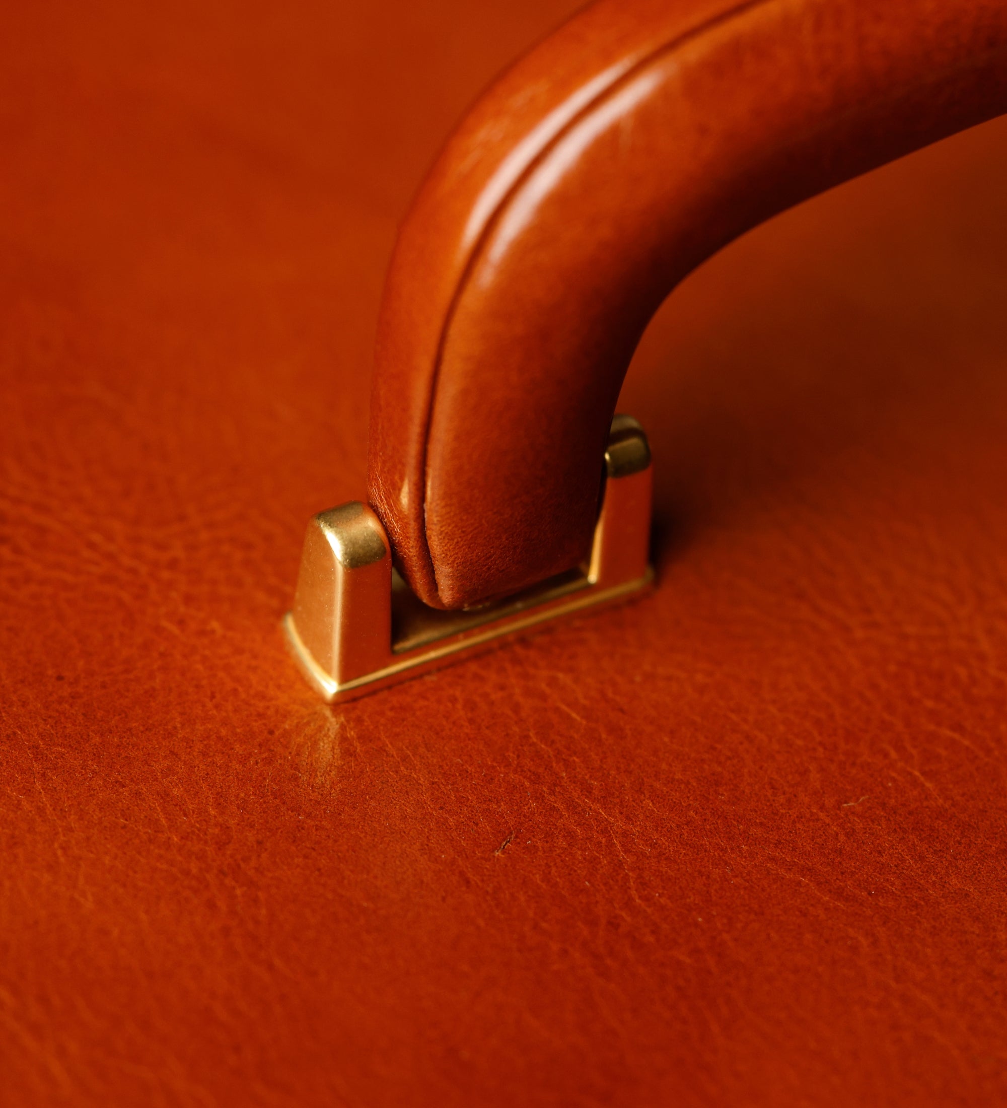 Portagioie grande in pelle donna - The Portrait of a Lady