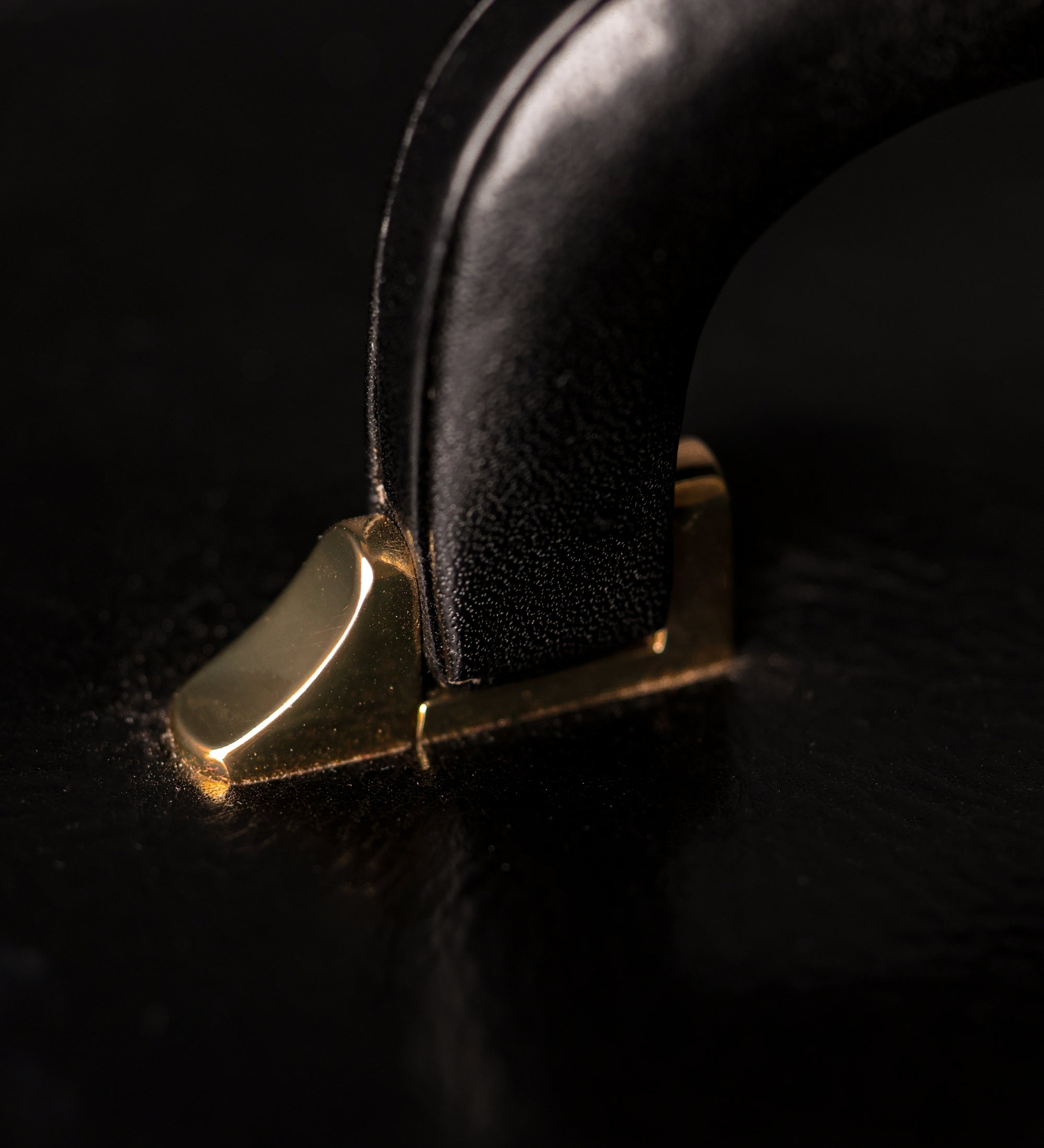 Portagioie grande in pelle donna - The Portrait of a Lady