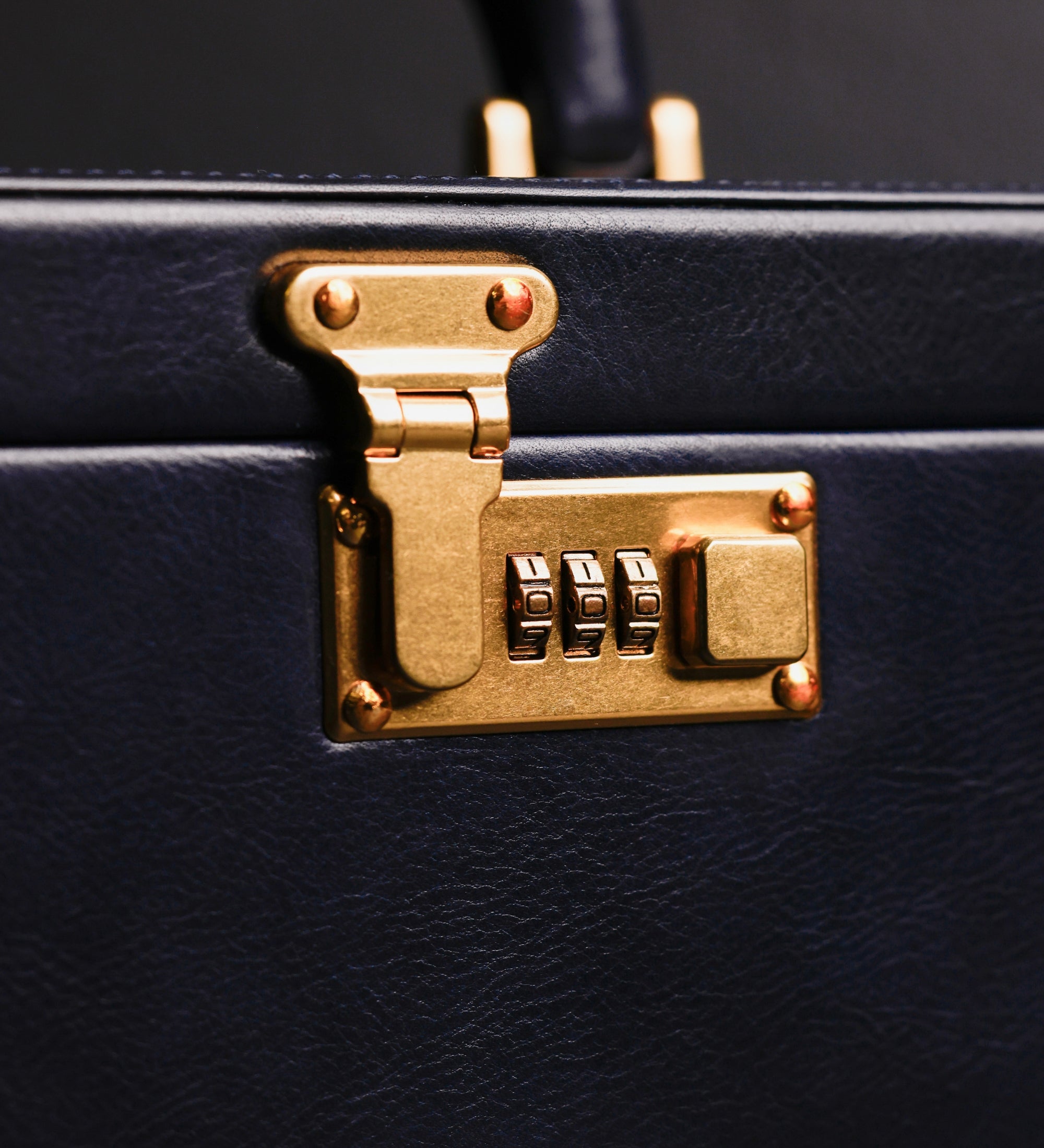 Portagioie grande in pelle donna - The Portrait of a Lady